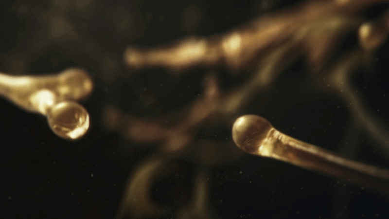 ezgif-5d52fc066f2791f0.gif
