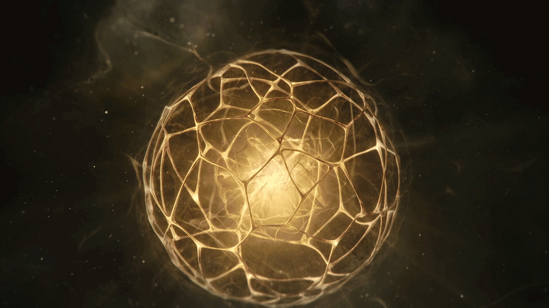 ezgif-5028a49d3cc872ae.gif