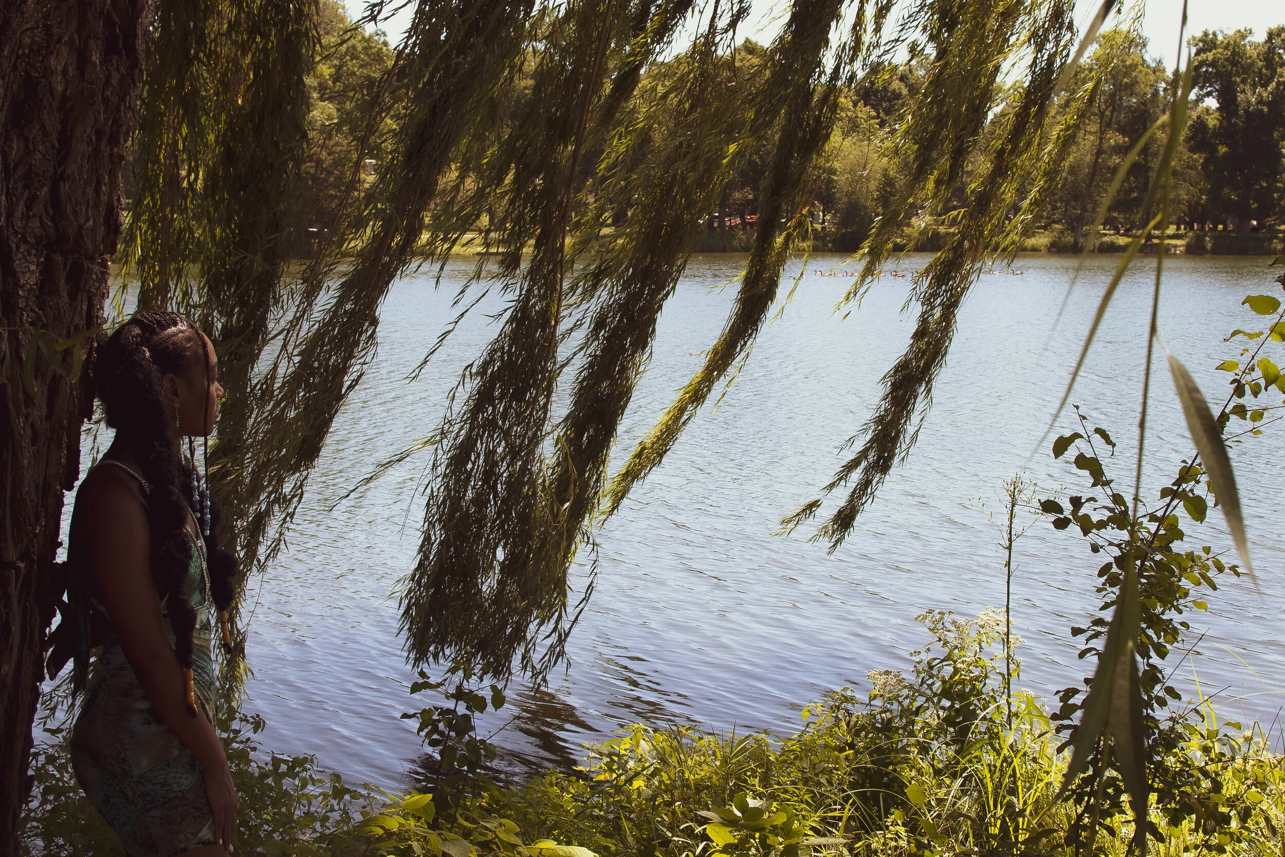 DSC_2214-Edit.jpg