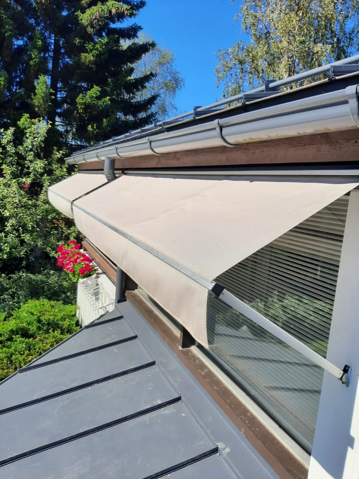 2021-07-01 16.03.04-1.jpg