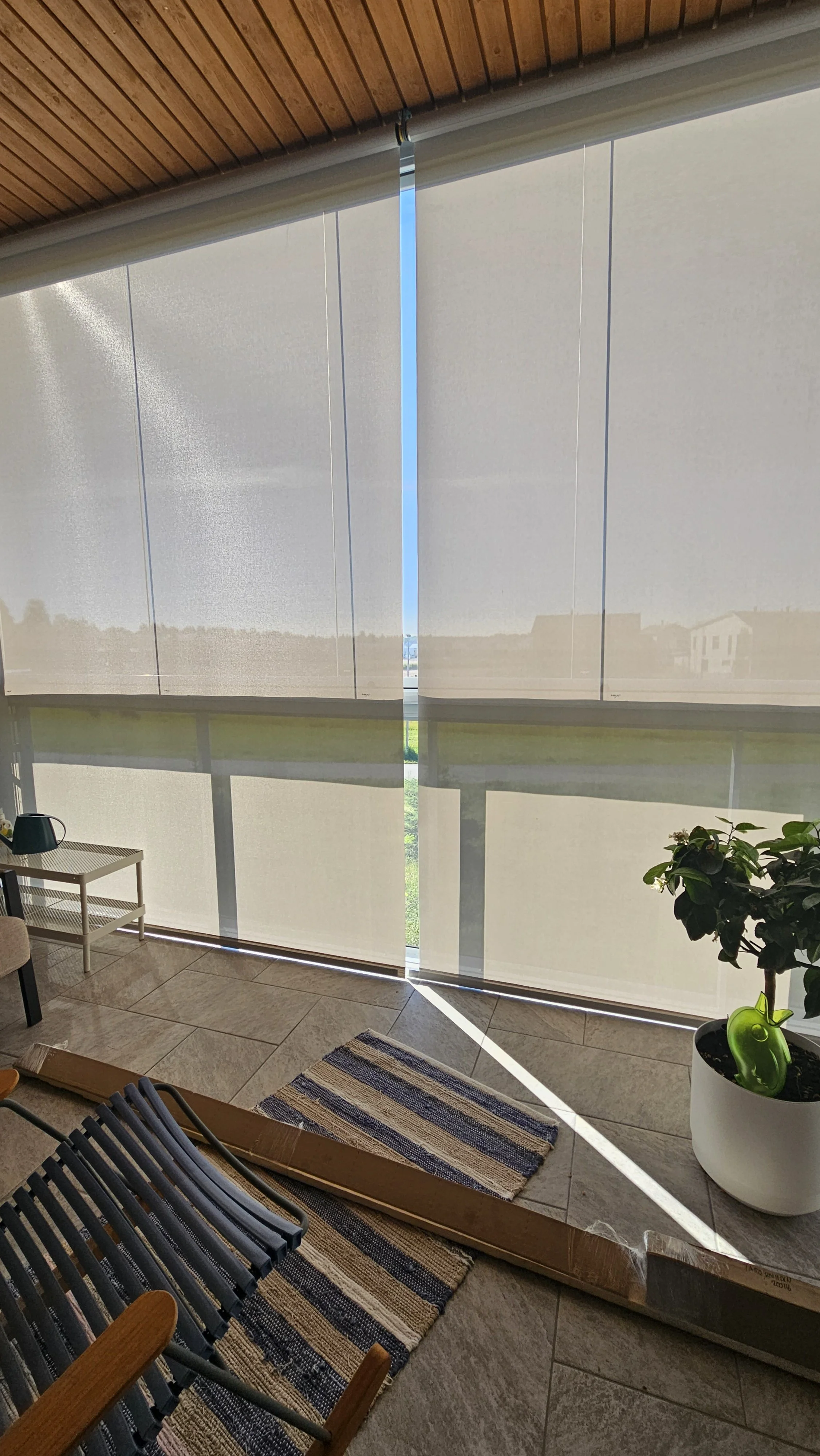 20250714_084622.jpg