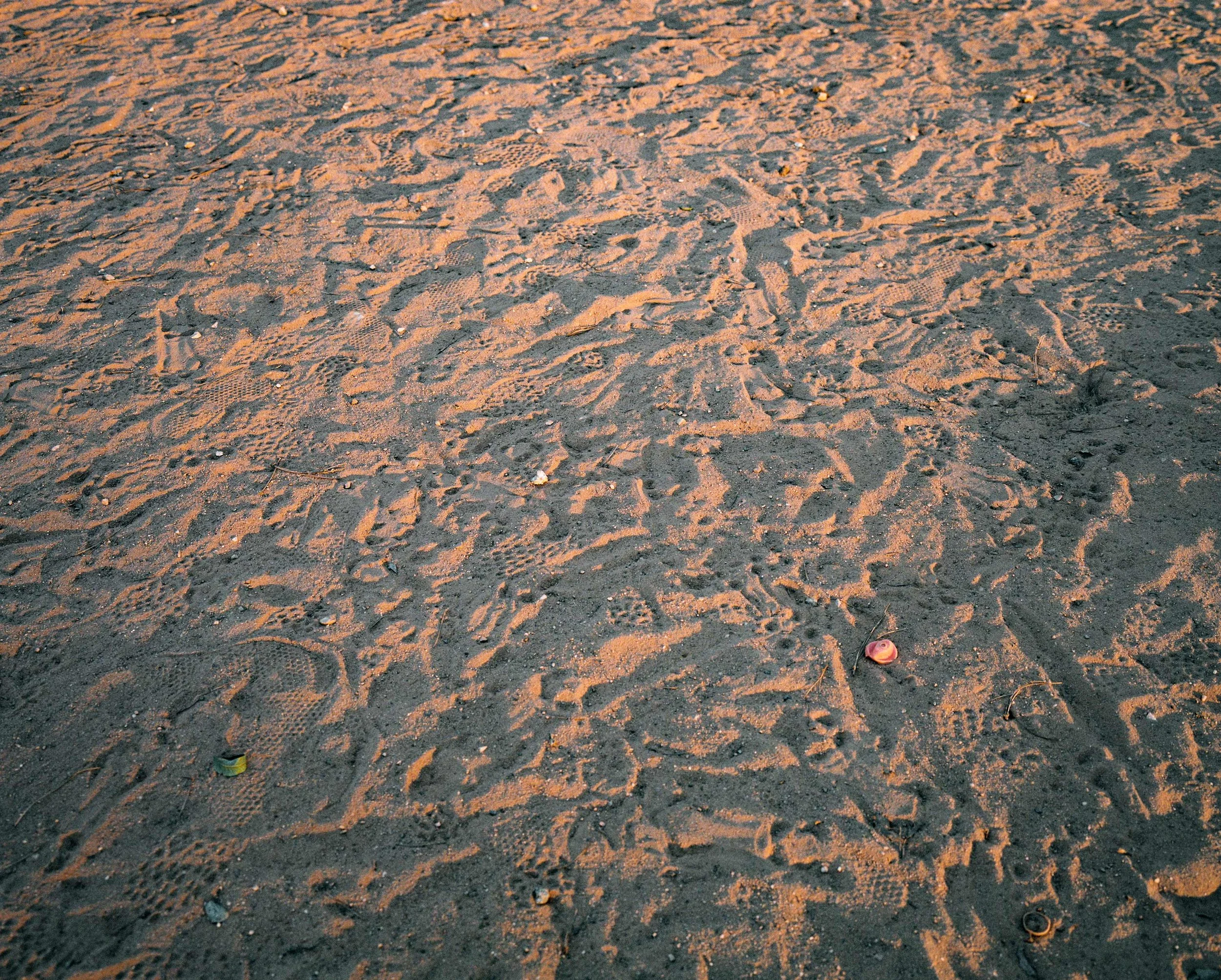 67729566e7659e0448680e9d_67727fd6dc11ff190704bd6e_Untitled-(Field)%2C-2024.jpeg