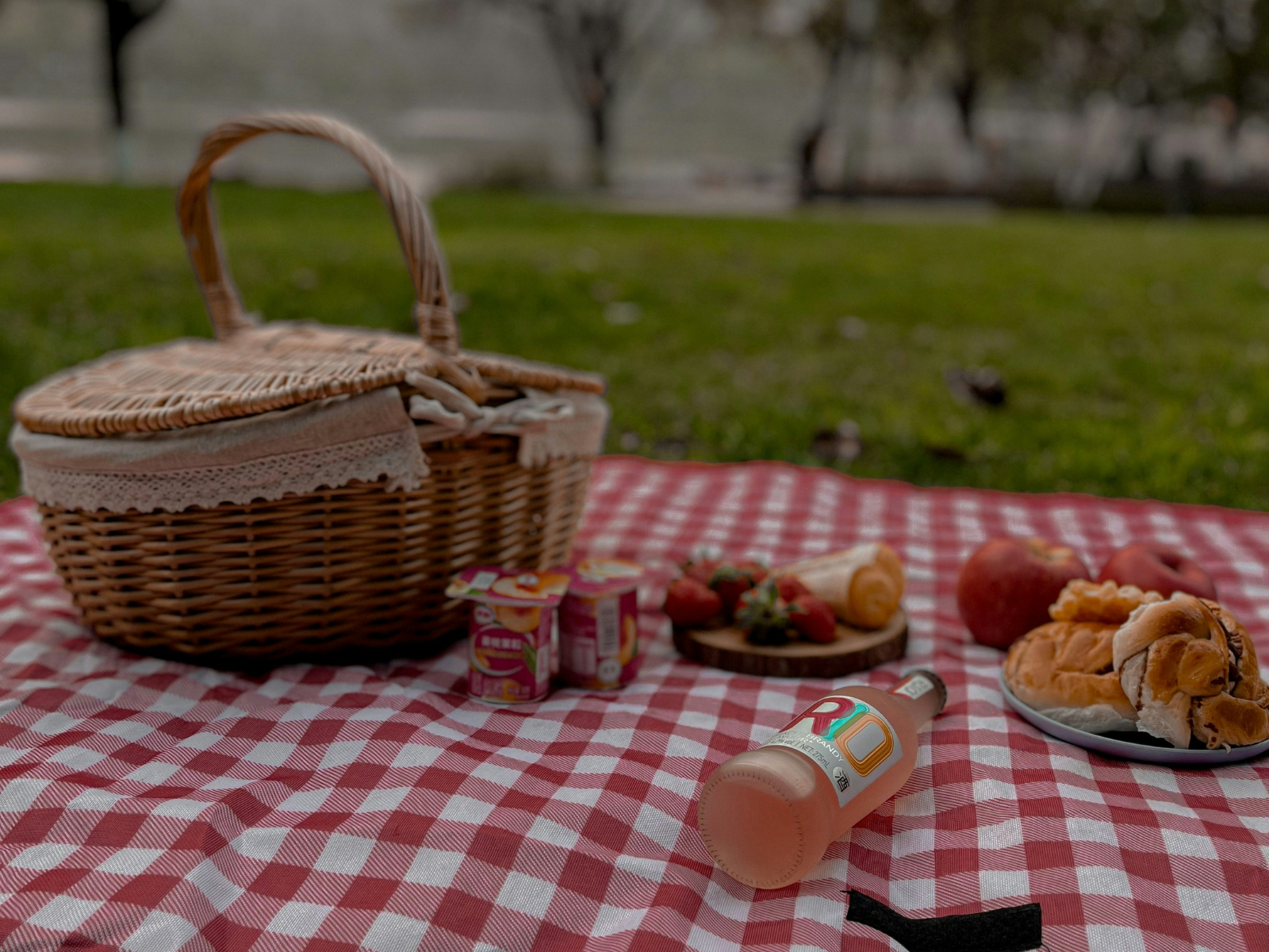 Organiza tu Picnic Perfecto en Santiago