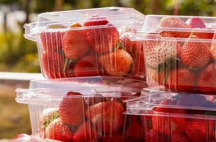 Newsletter 4.22.22 - Happy Earth Day 2022!: 10 Types of Toxic Food Packaging &amp; Healthy Alternatives
