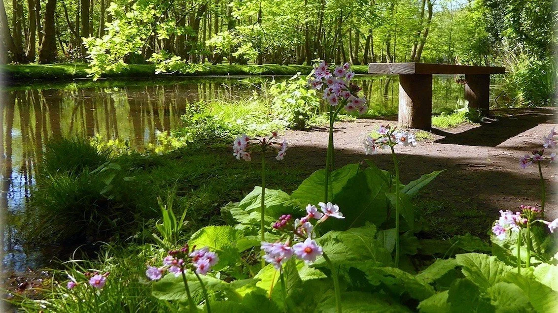 April: Sowing Seeds vs. Forcing Blooms