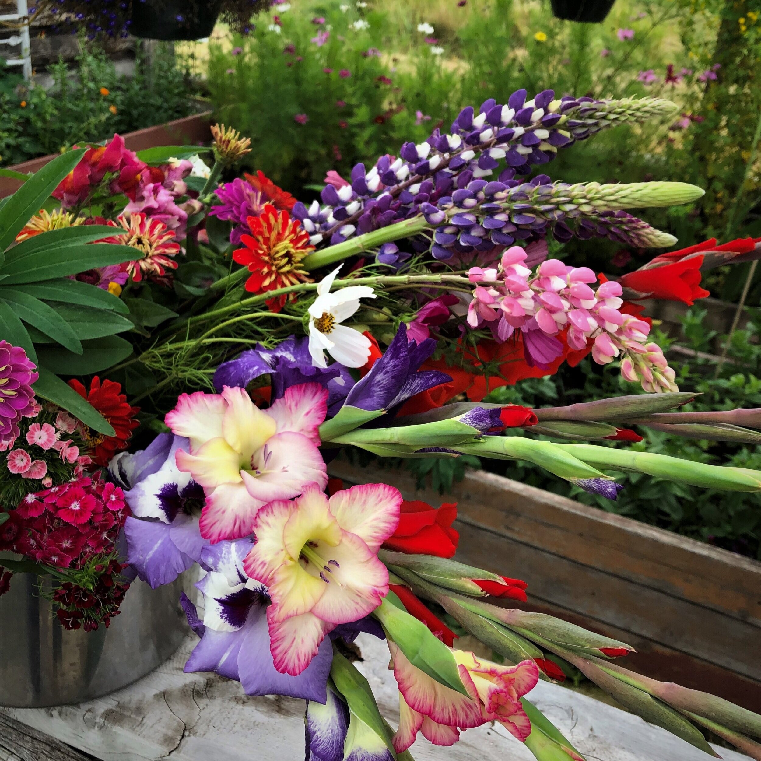 Farmers Market — Pincher Creek & District Chamber of Commerce