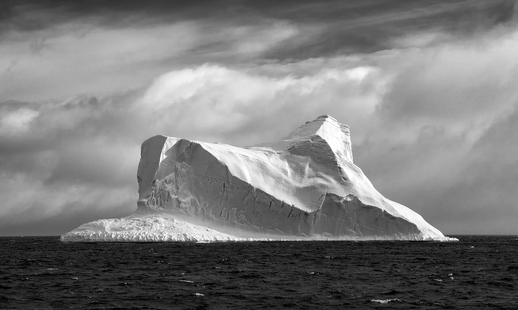 Dawna Mueller - ‘The Accidental Environmentalist’