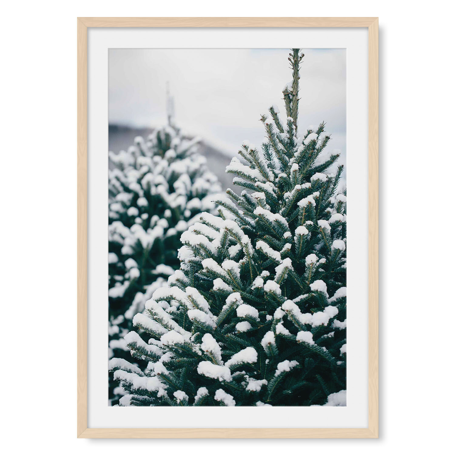 Light maple solid hardwood framed vertical fine art photography closeup of a single pine tree with branches weighed down by fresh snow.