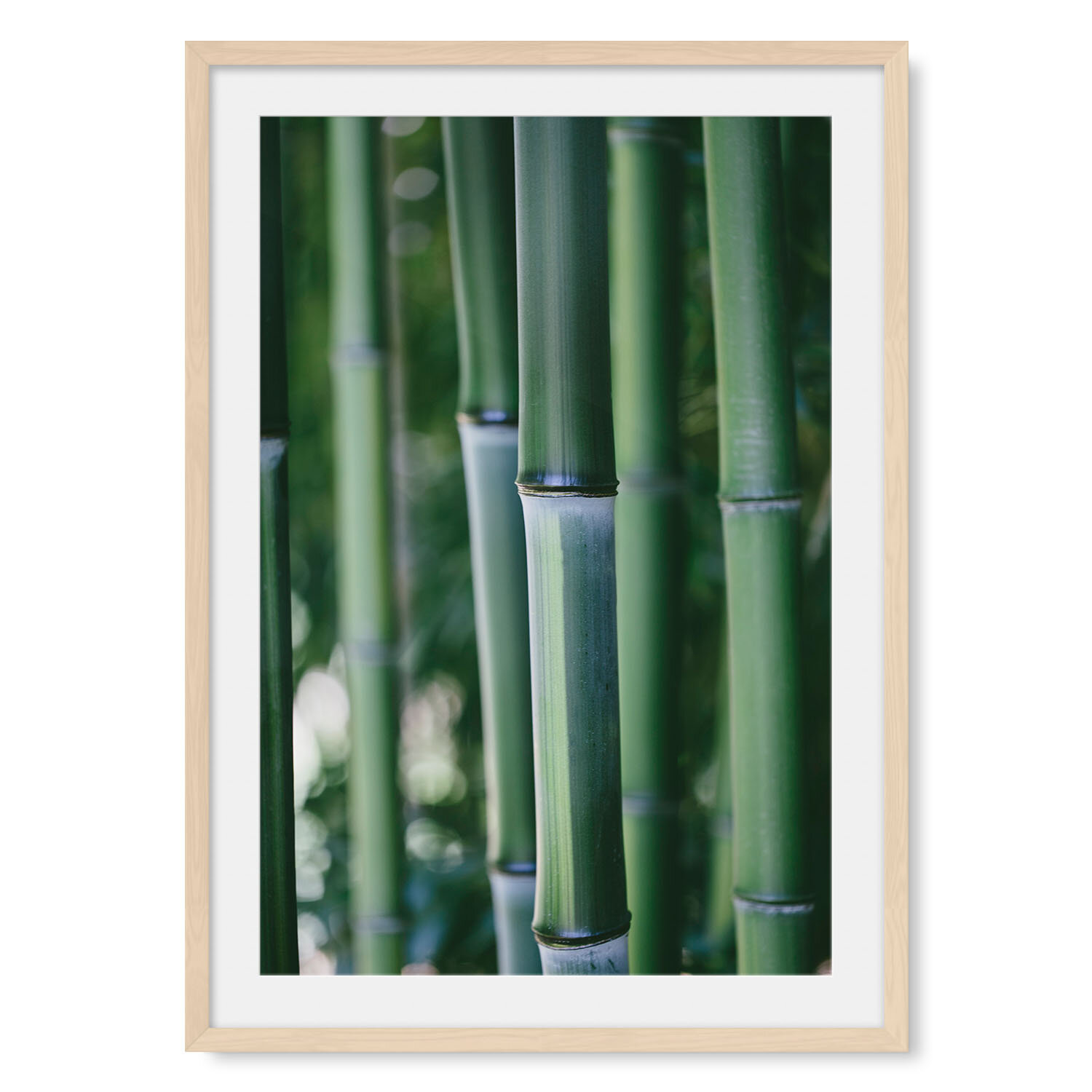 Light maple solid hardwood framed vertical fine art photography macro image of tall green bamboo stalks in a dense bamboo forest.