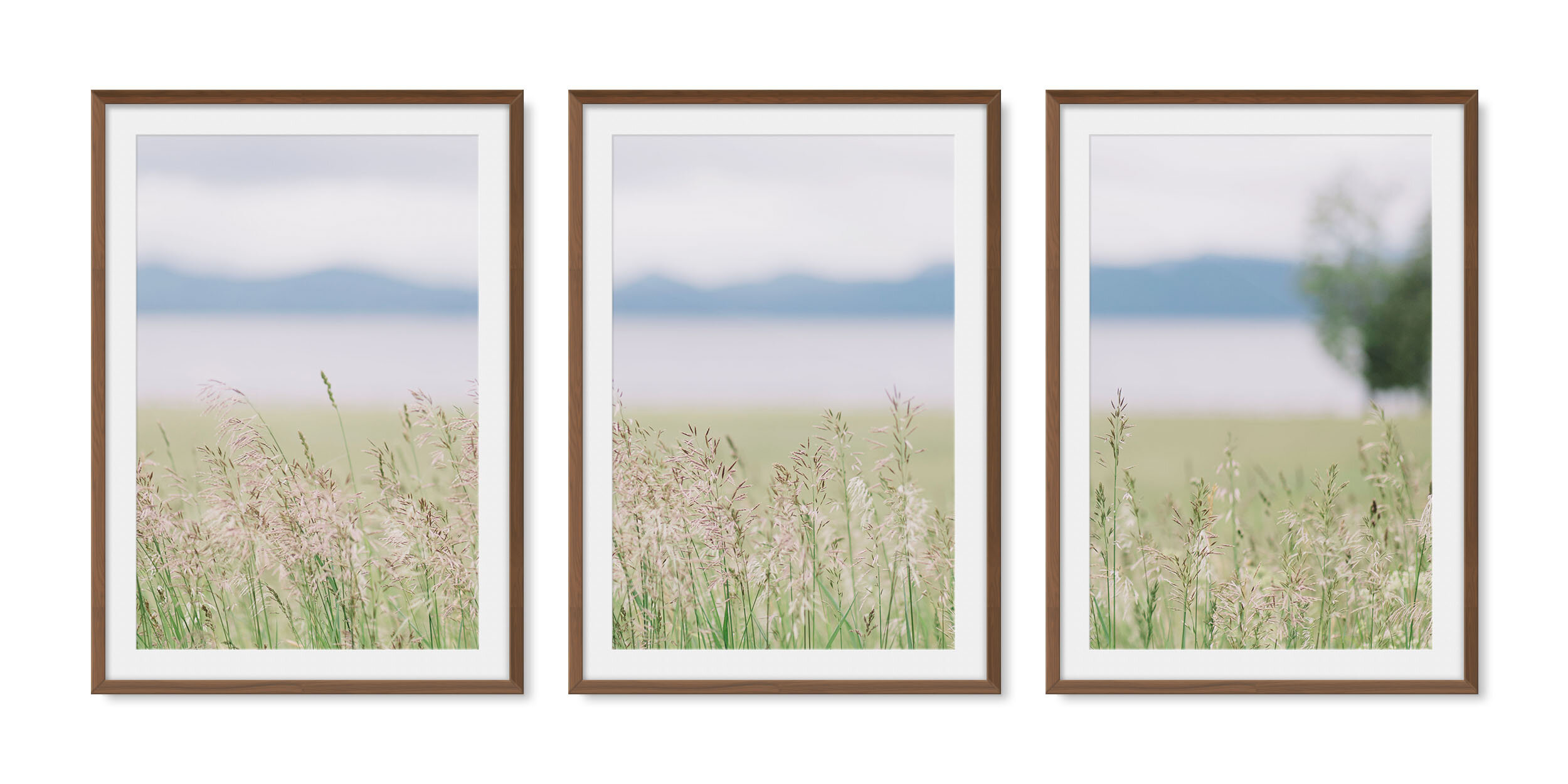 Dark walnut solid hardwood framed triptych fine art photography of a flowing field of tall grasses in front of a blue lake and shadowed mountain range.