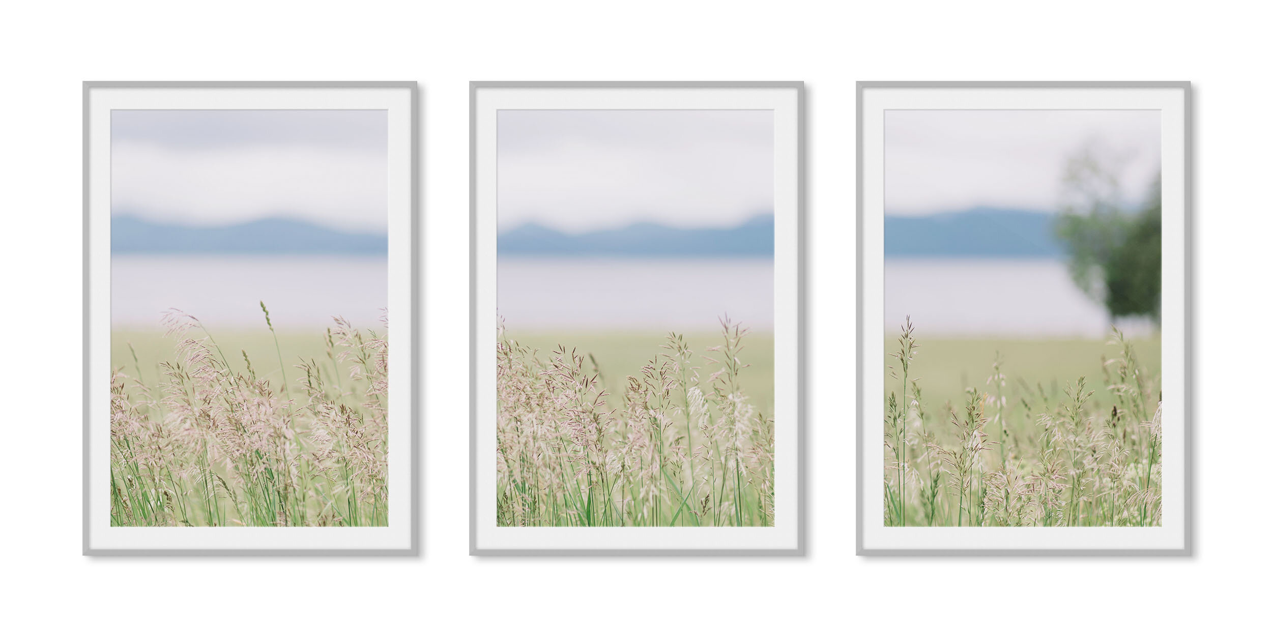 Frosted silver aluminum framed triptych fine art photography of a flowing field of tall grasses in front of a blue lake and shadowed mountain range.