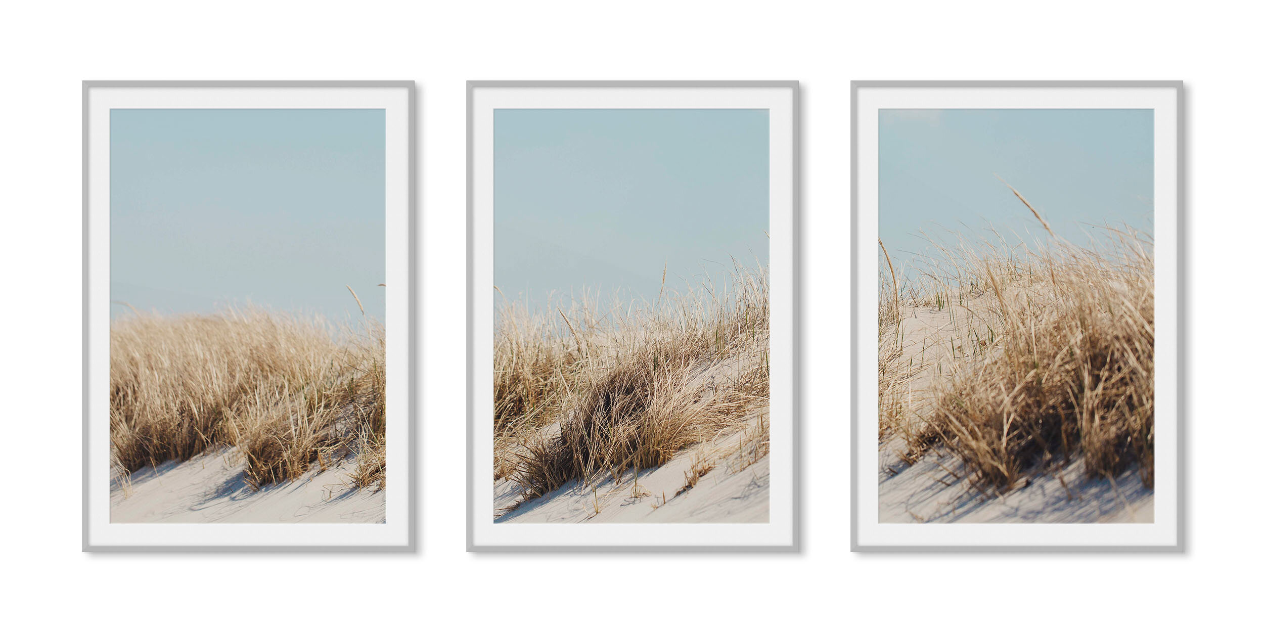 Frosted silver aluminum framed triptych fine art photography of golden beach grasses against a pale blue summer sky.