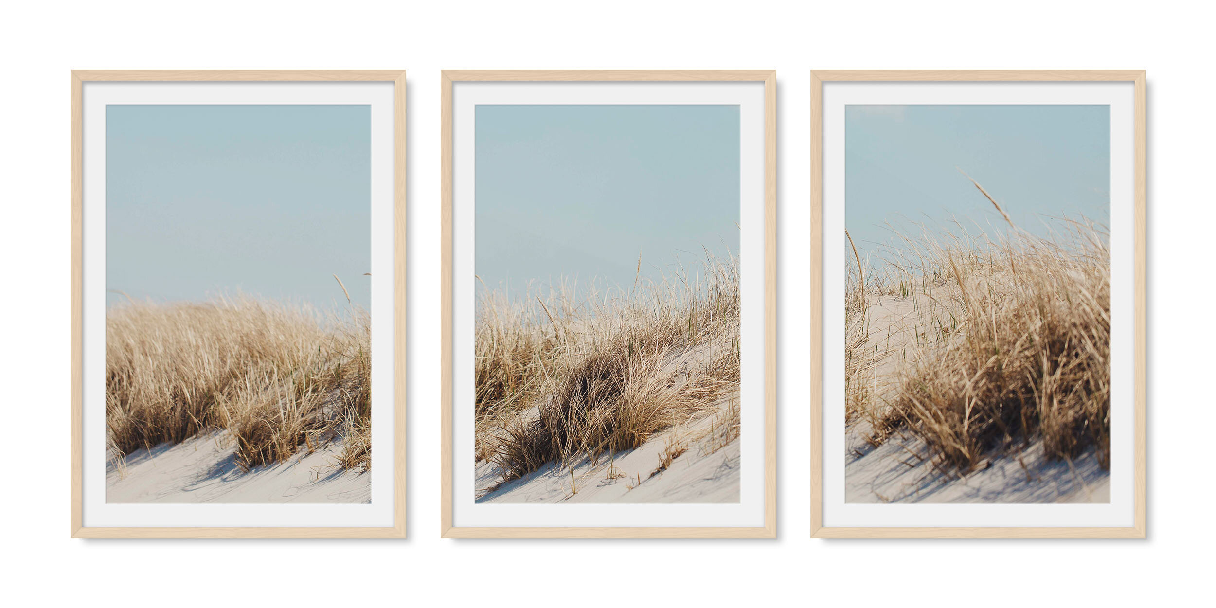 Light maple solid hardwood framed triptych fine art photography of golden beach grasses against a pale blue summer sky.