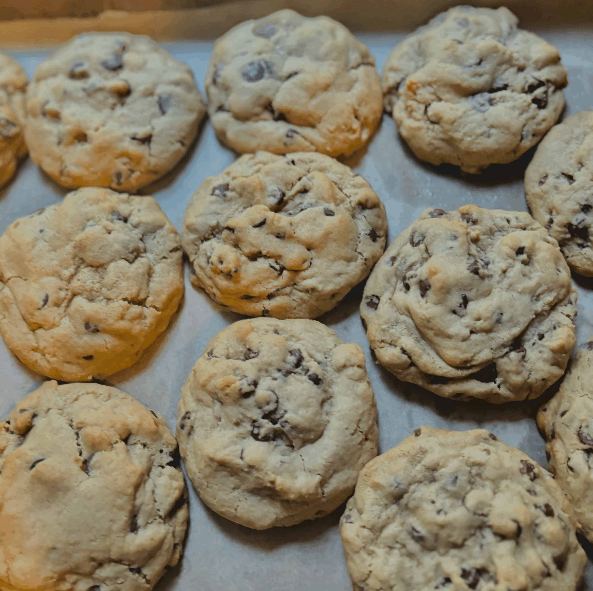 Vegan/Gluten Free Chocolate Chip Cookies