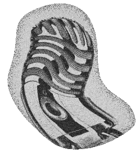 Comp-2.gif