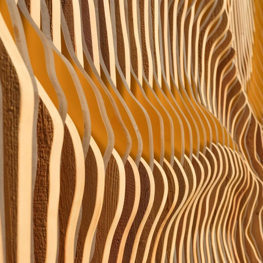 const-13-1000x1000.jpg