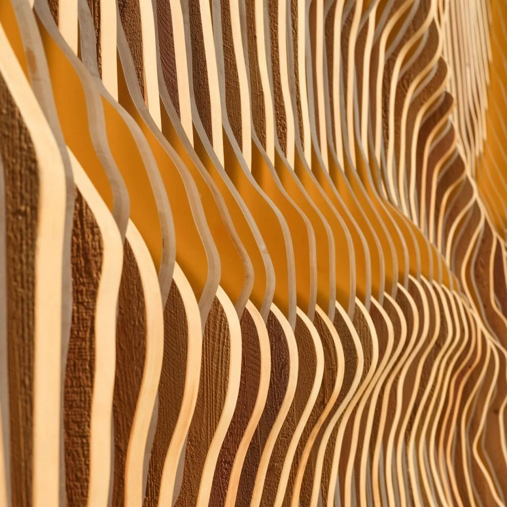 const-13-1000x1000.jpg