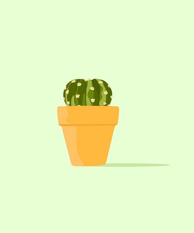Leeeetle cacti servin&rsquo; up some cuteness