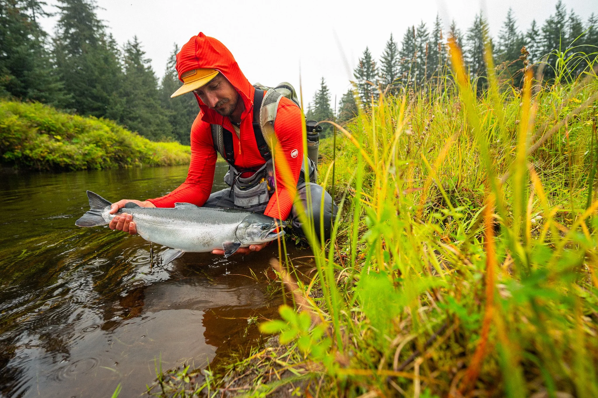 Community Scientist: Dominic Lentini