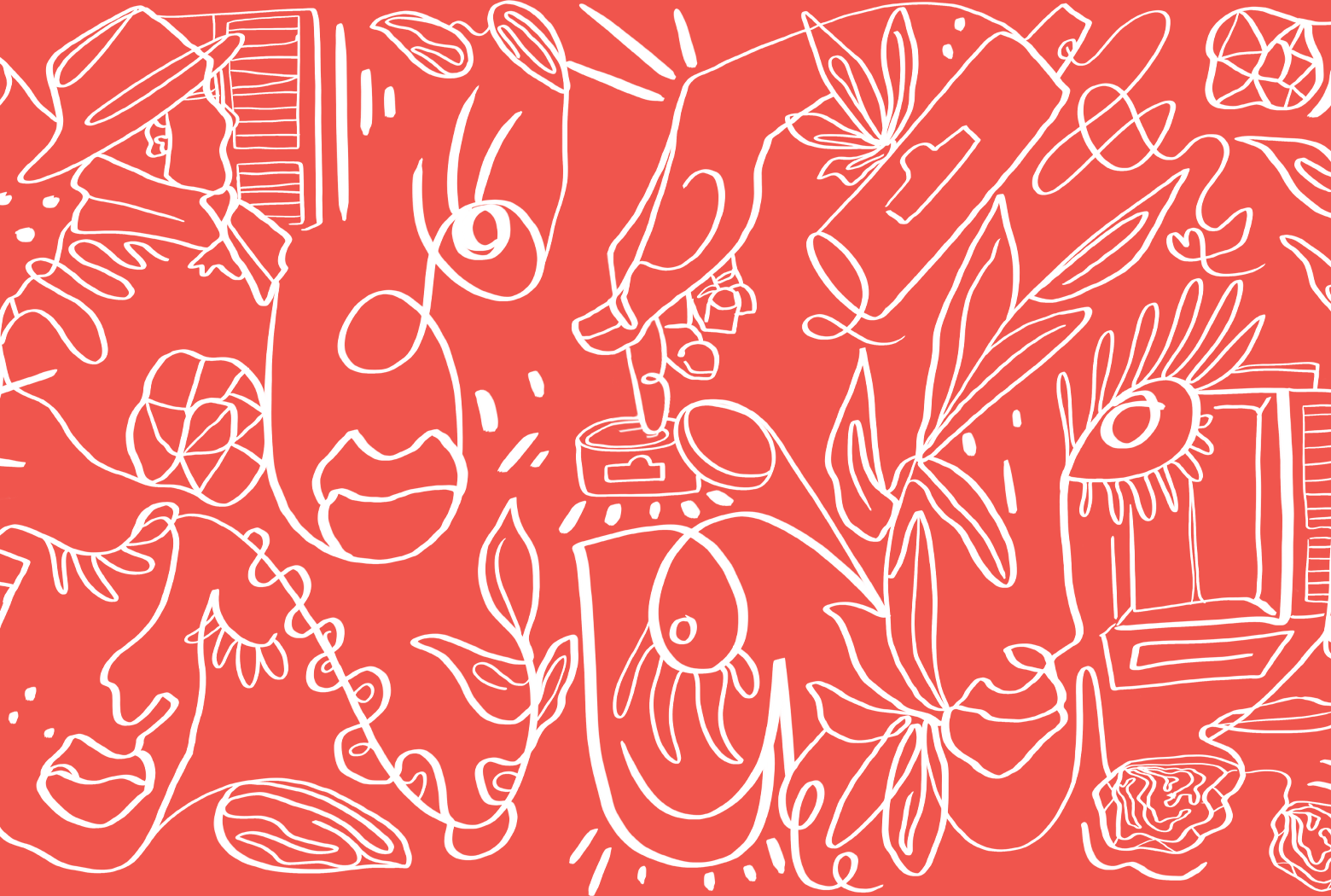 Holiday Packaging | Skin&Co Roma