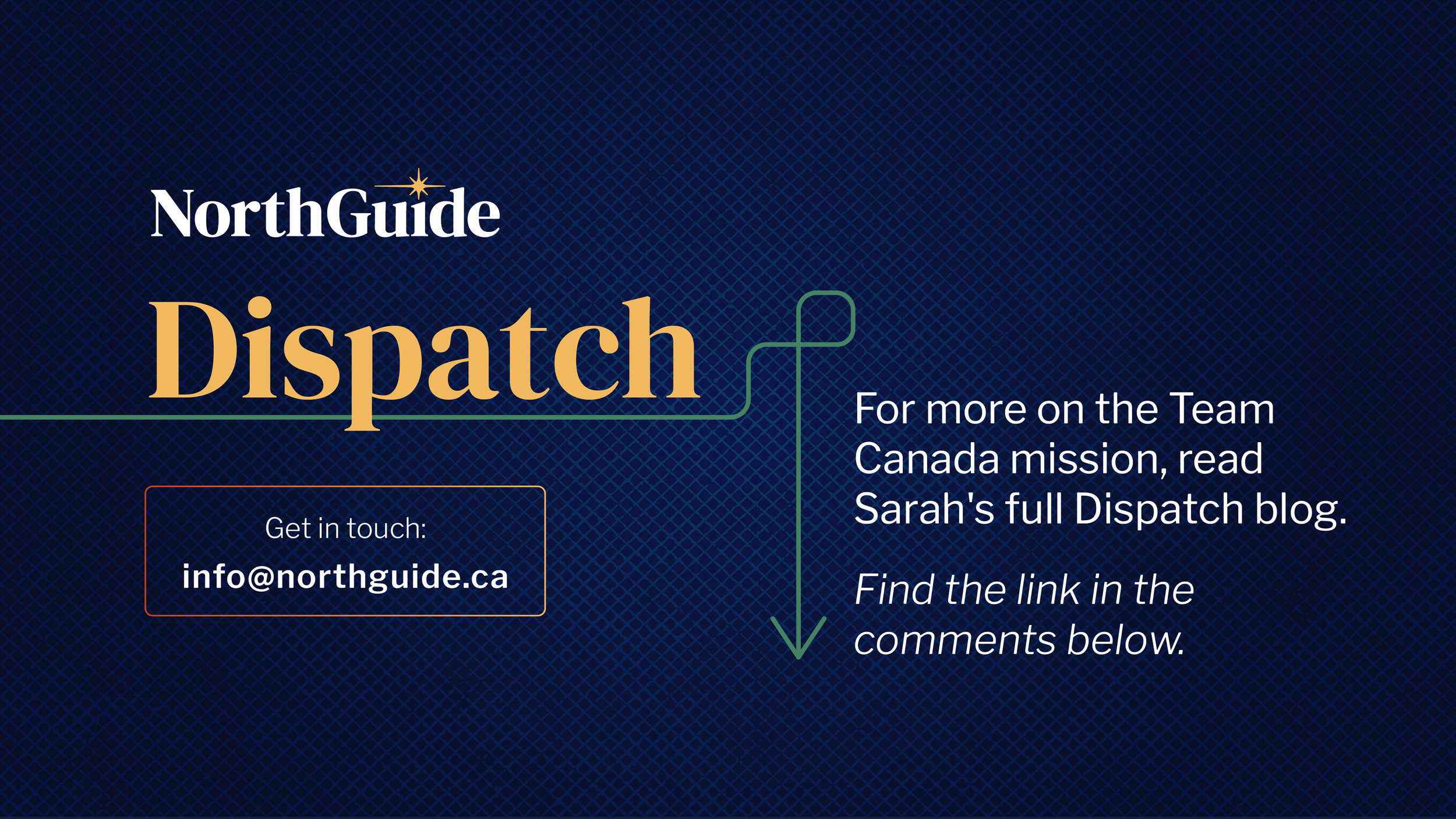 LI-Dispatch-Sarah.png