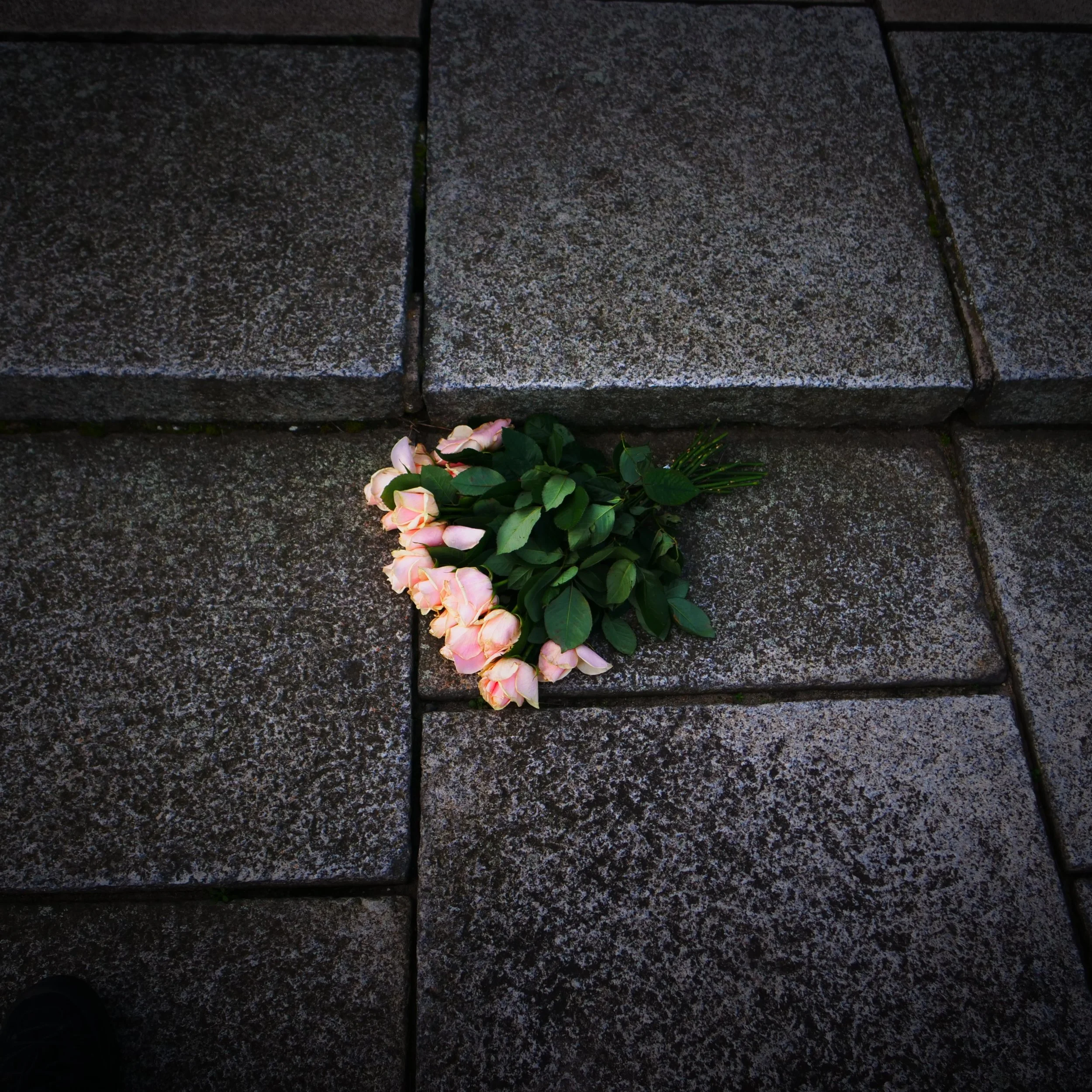 P1520398.JPG