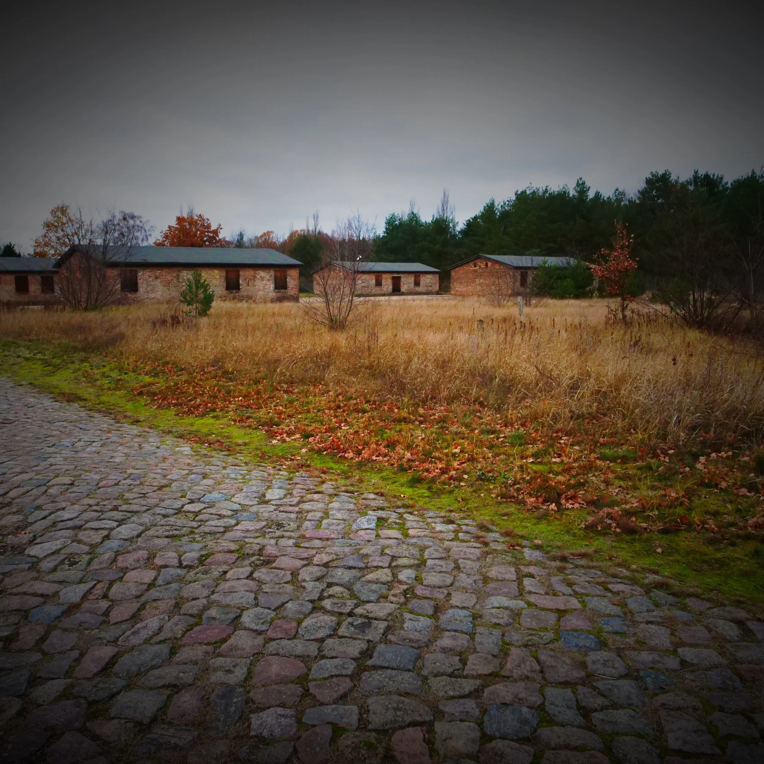 P1520561.JPG