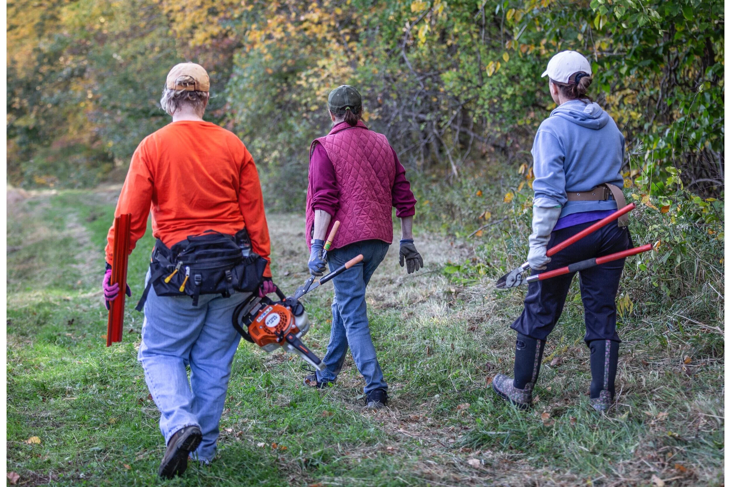 Stewardship — Tewksbury Land Trust