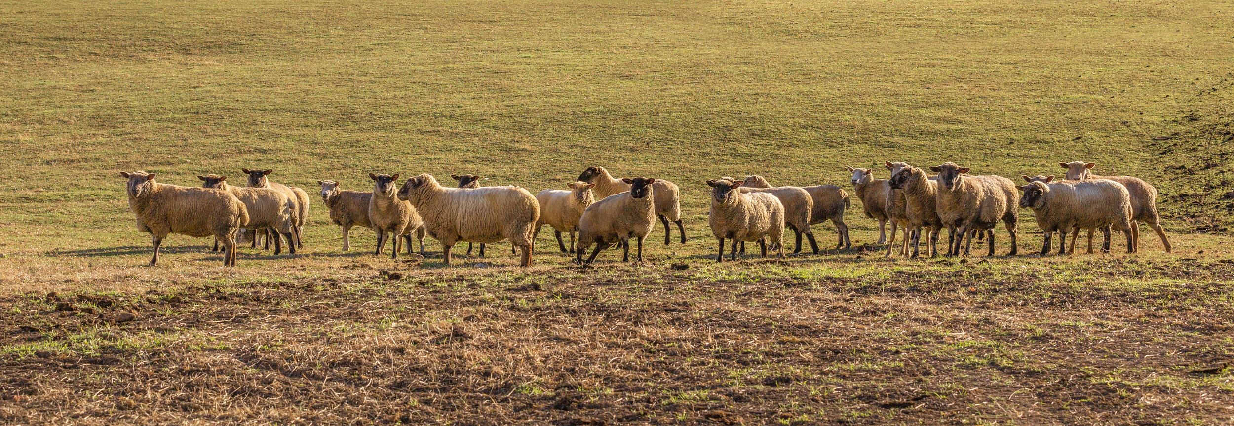 Contact 1 — Tewksbury Land Trust
