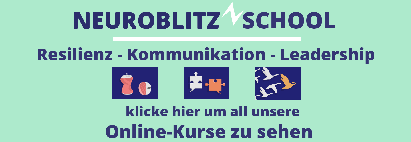 Blog Banner de.png