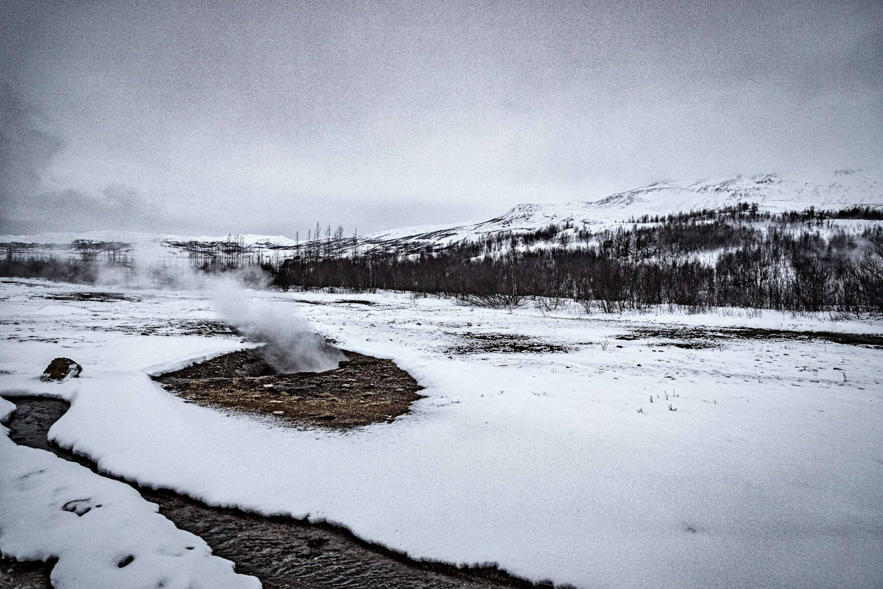 20200124 Geyser 0260-Edit.jpg