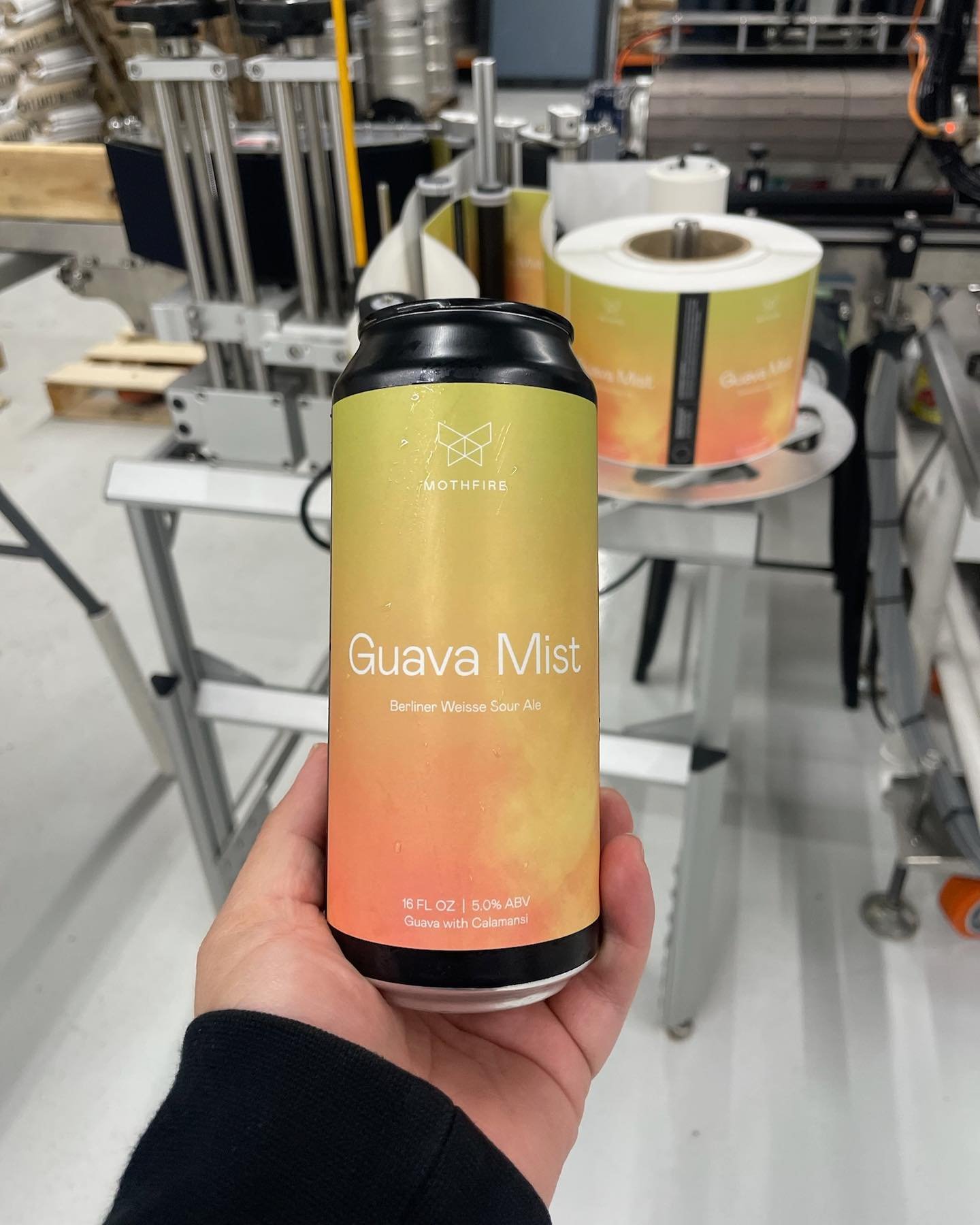 Welcome back GUAVA MIST! ☀️ 
Guava Mist is making its long over due return. Only brewed 2x before and at the old space. This batch is blended with Calamansi, a fruit native to the Philippines. It&rsquo;s sweet + sour, smells like a mandarin orange wi