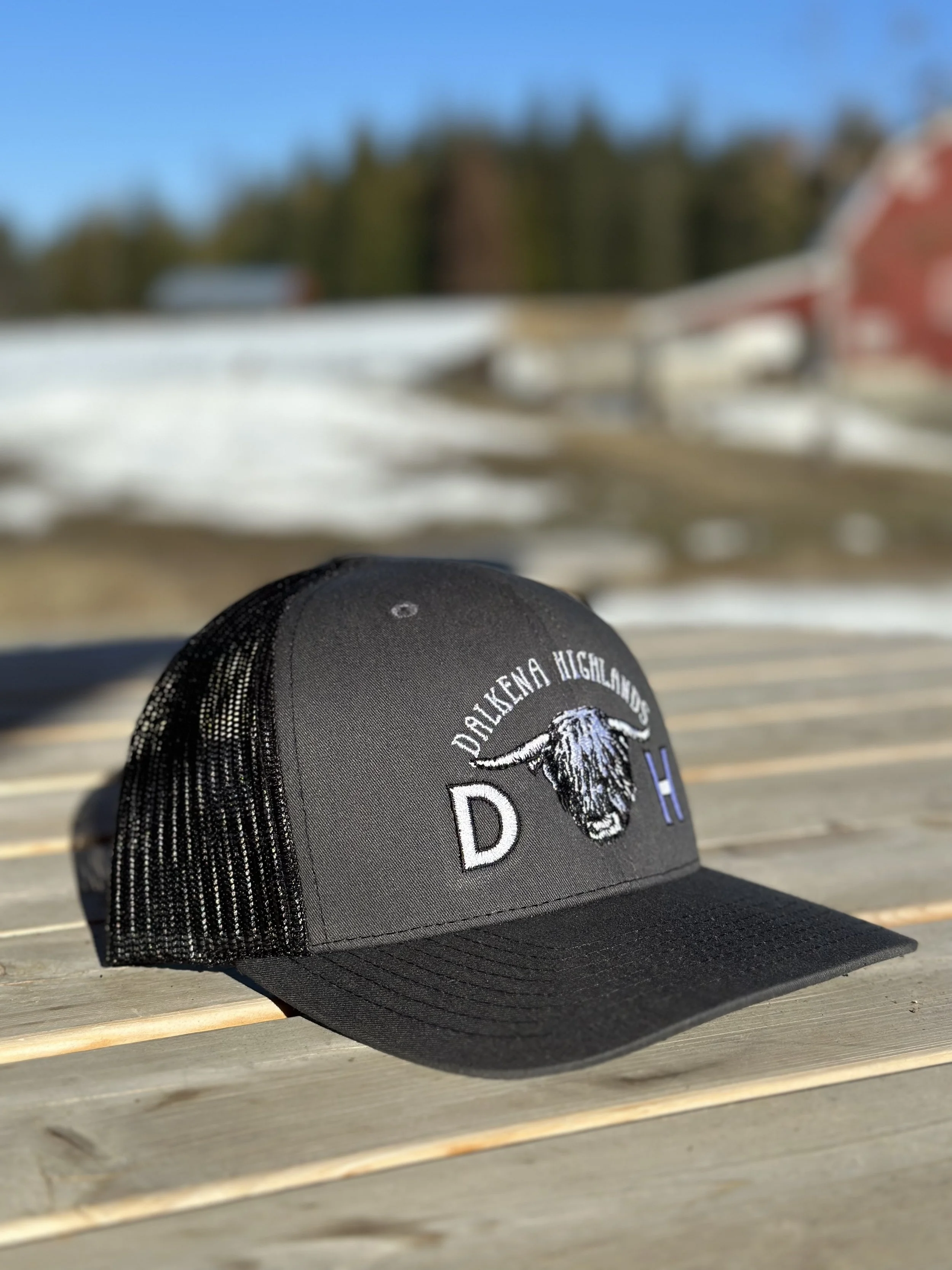 Gray Embroidery Hat Side .jpg