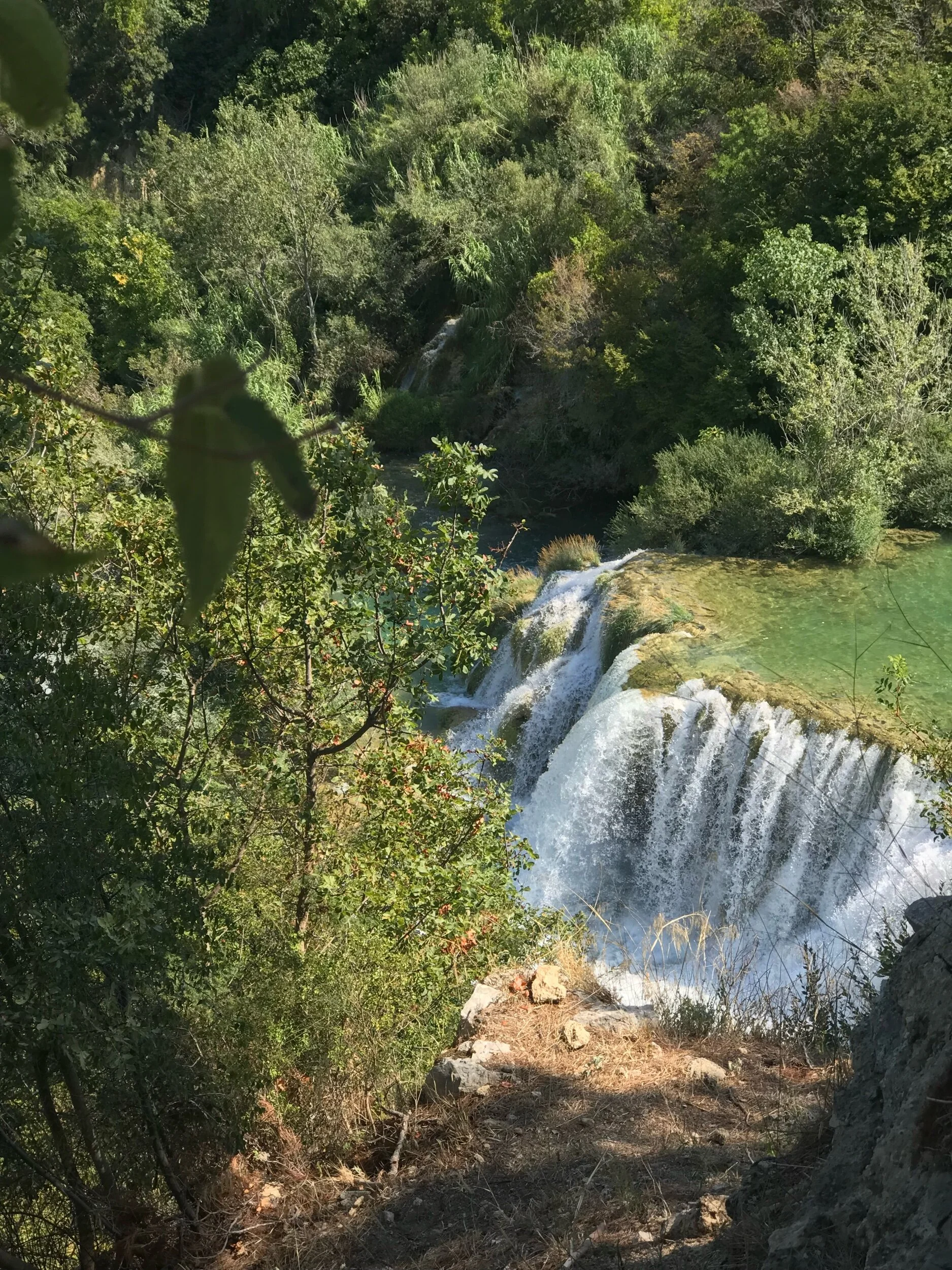 IMG_7840.jpeg