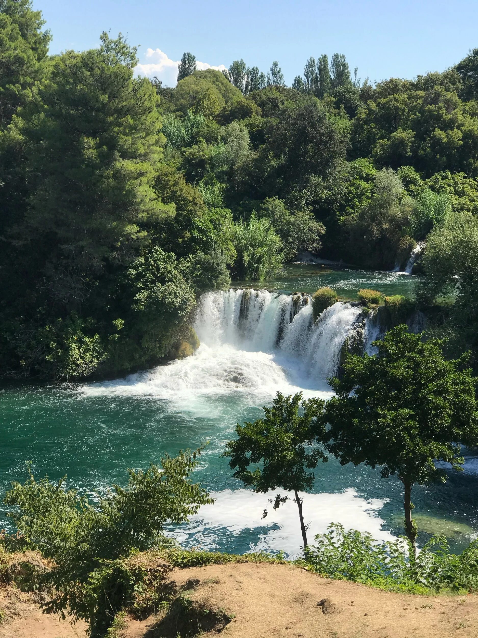IMG_7848.jpeg