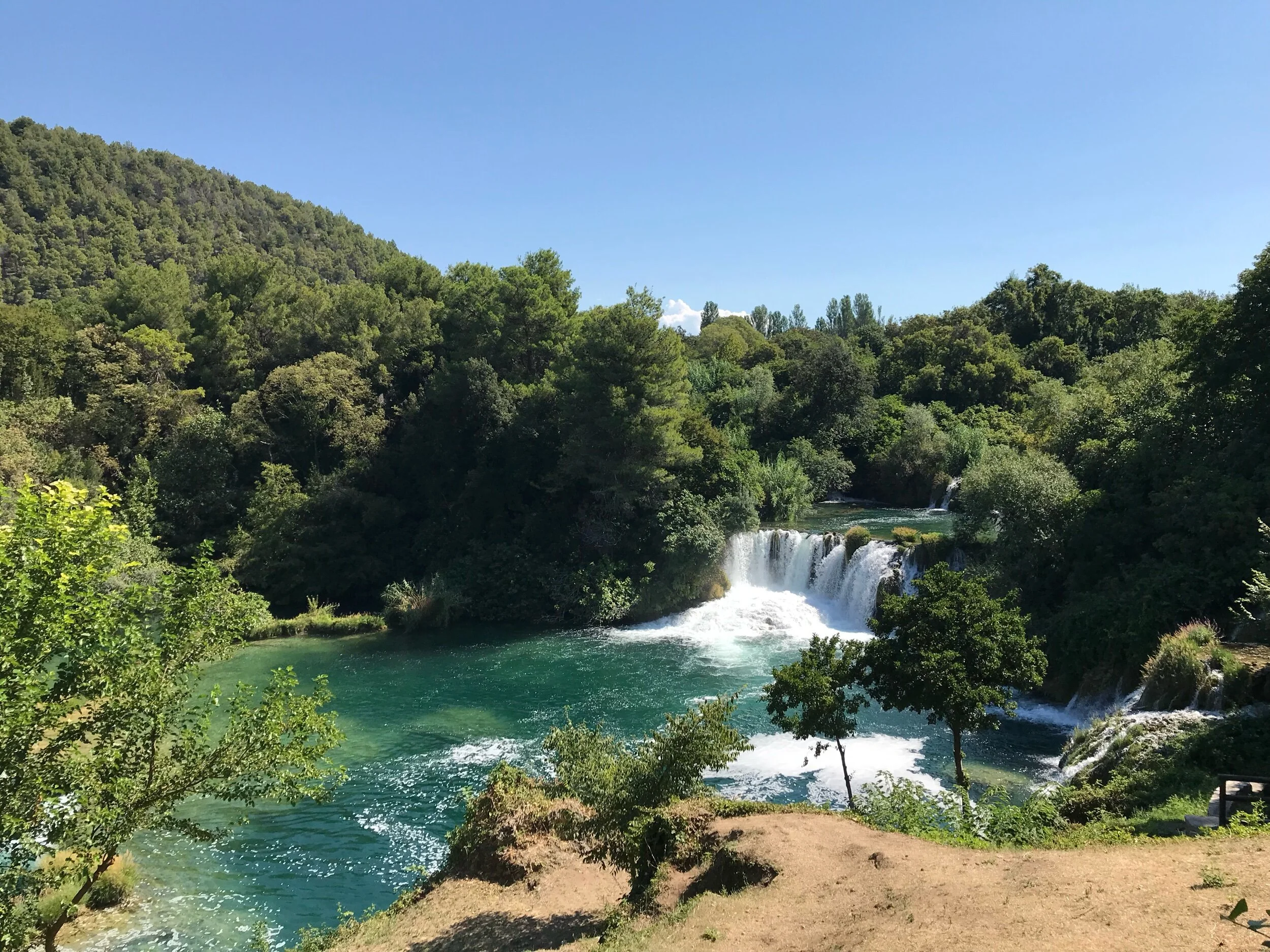IMG_7849.jpeg