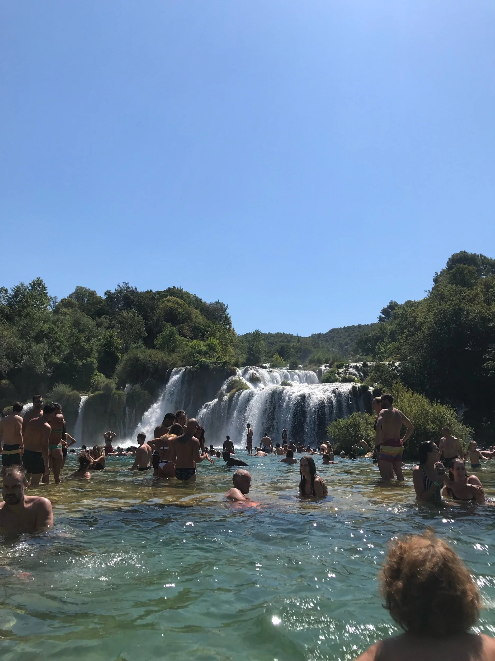 IMG_7866.jpeg