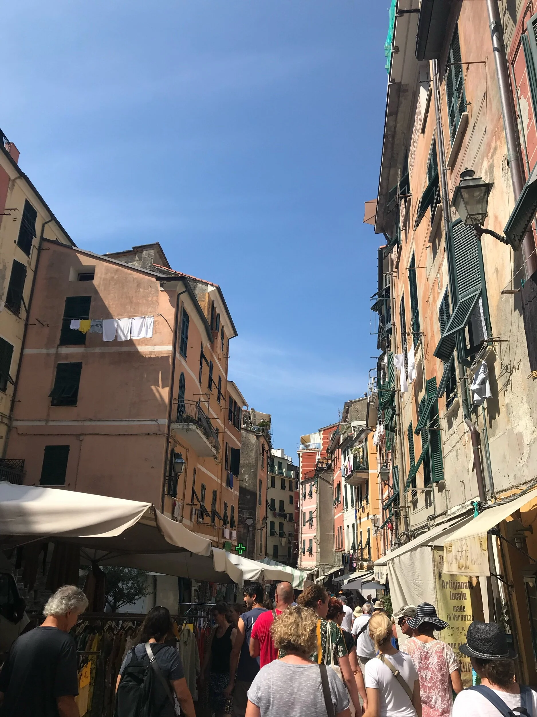 IMG_8368.jpeg
