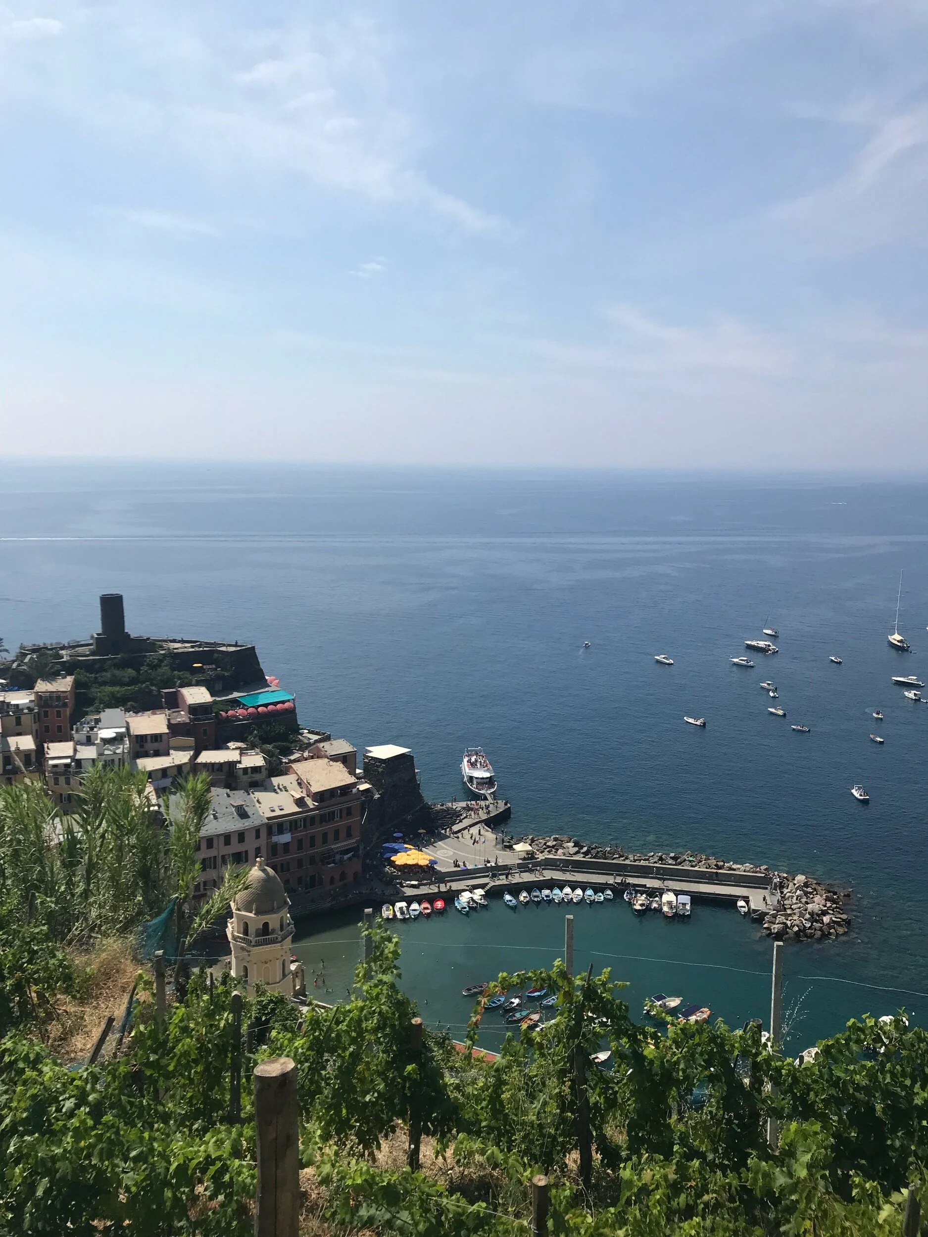 IMG_8372.jpeg
