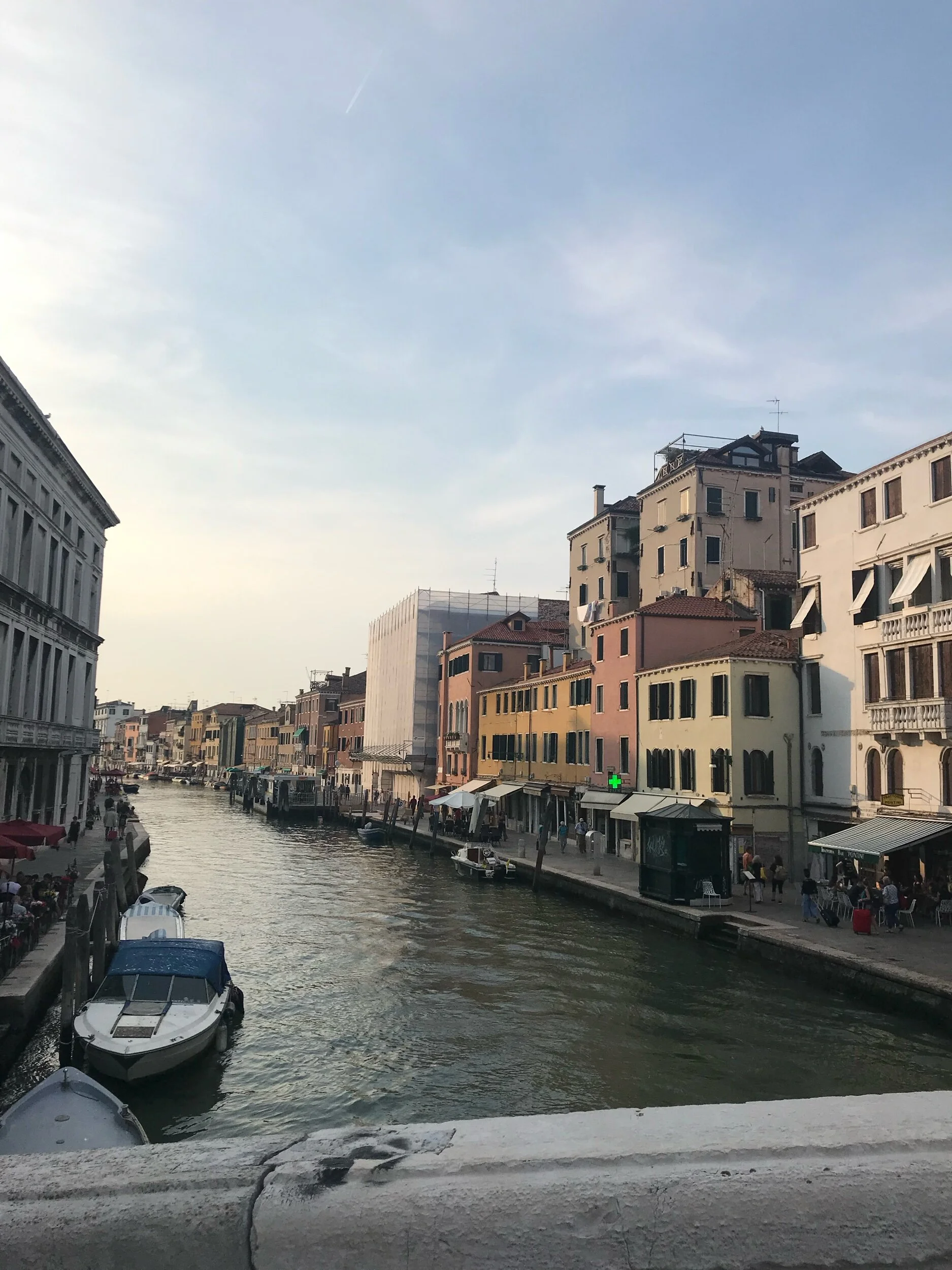IMG_8487.jpeg