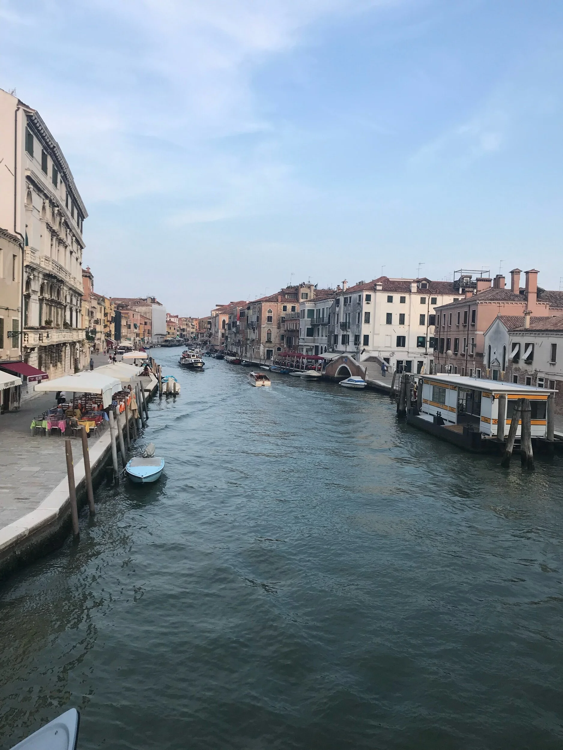 IMG_8498.jpeg