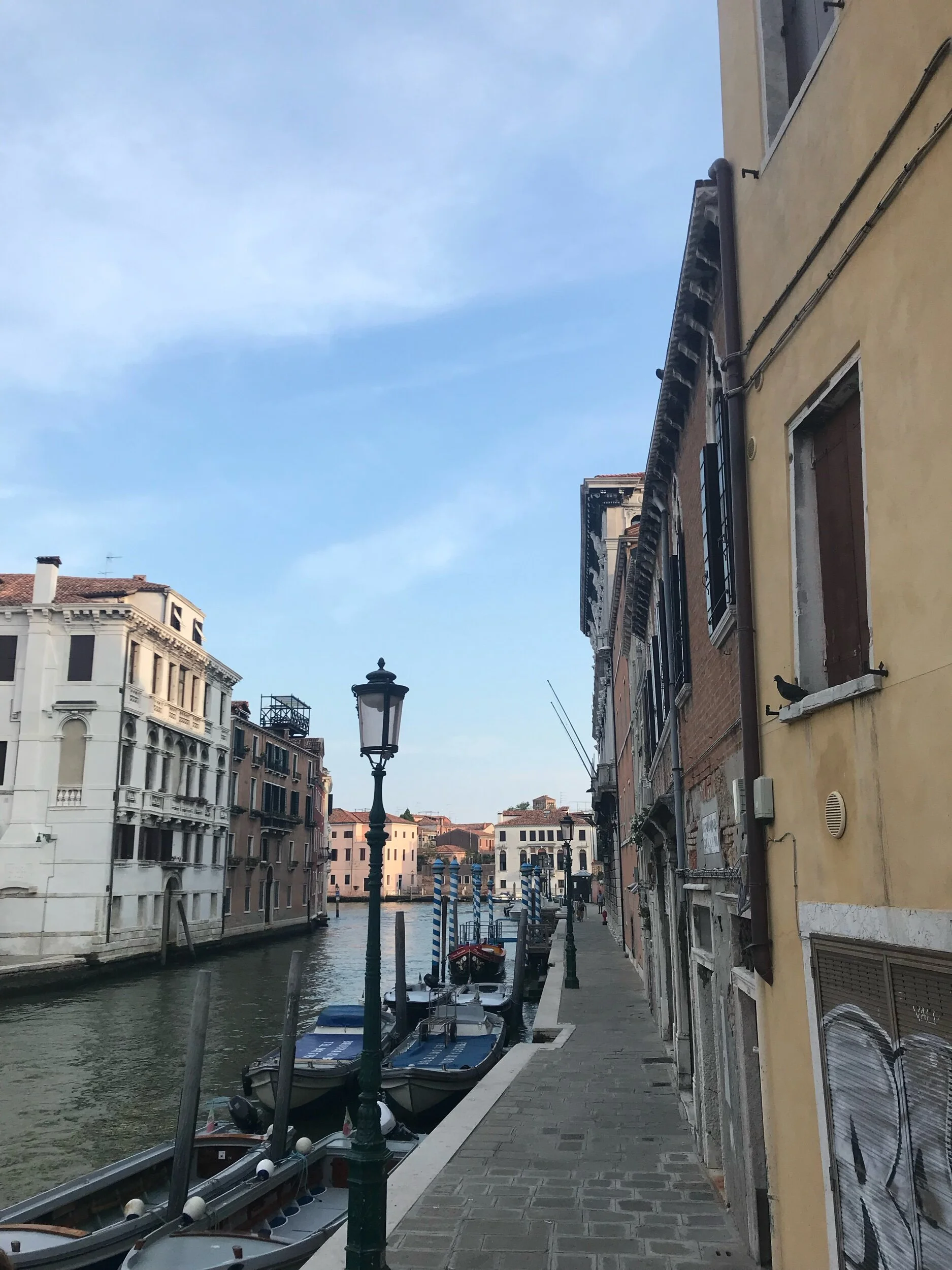 IMG_8486.jpeg