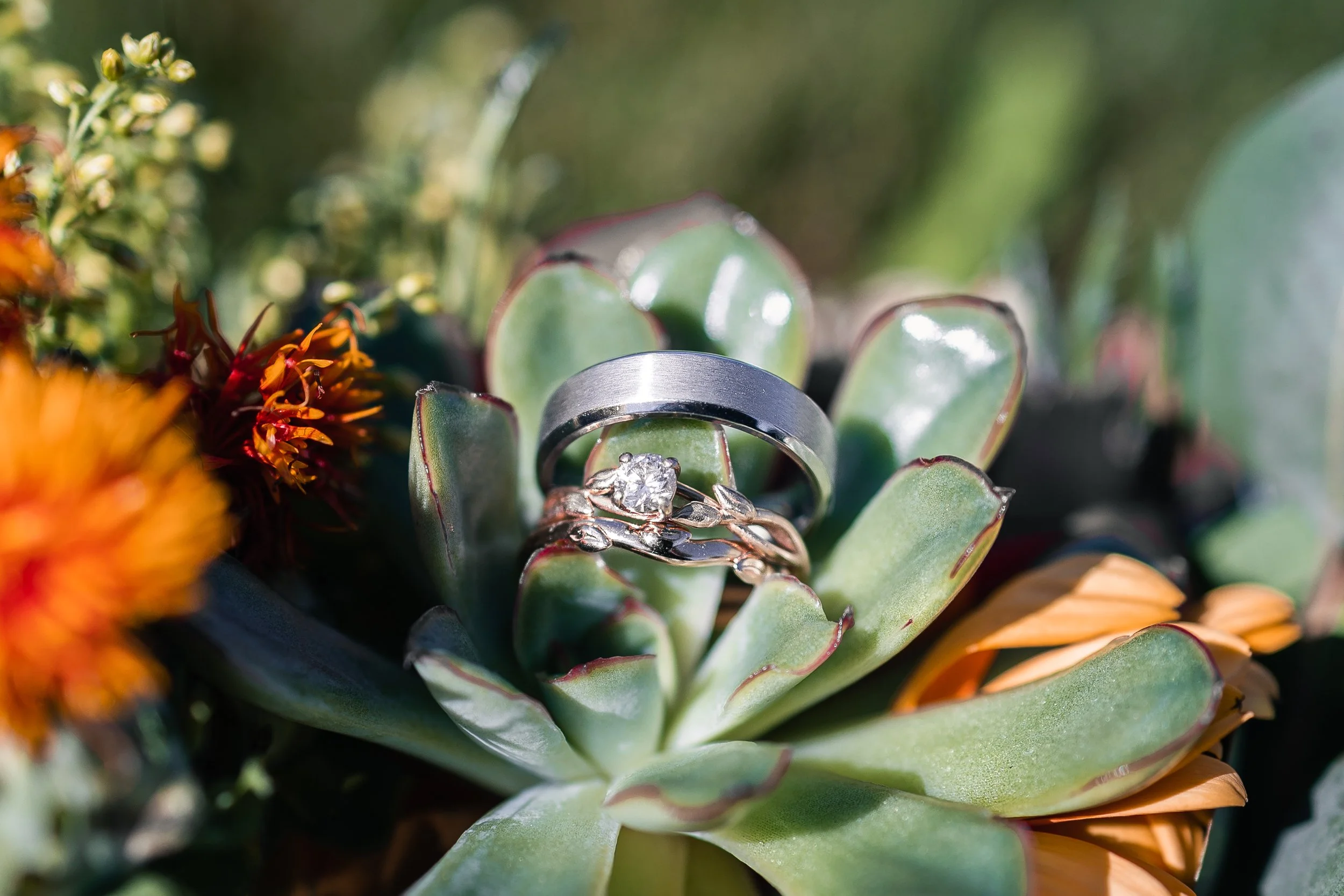 Sarah & Kevin + Bridal Party-43.jpg