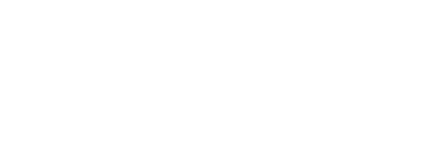Cherry Studio