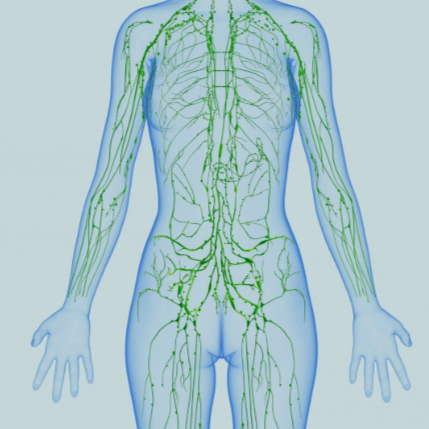 Lymphatic Drainage. What is it?