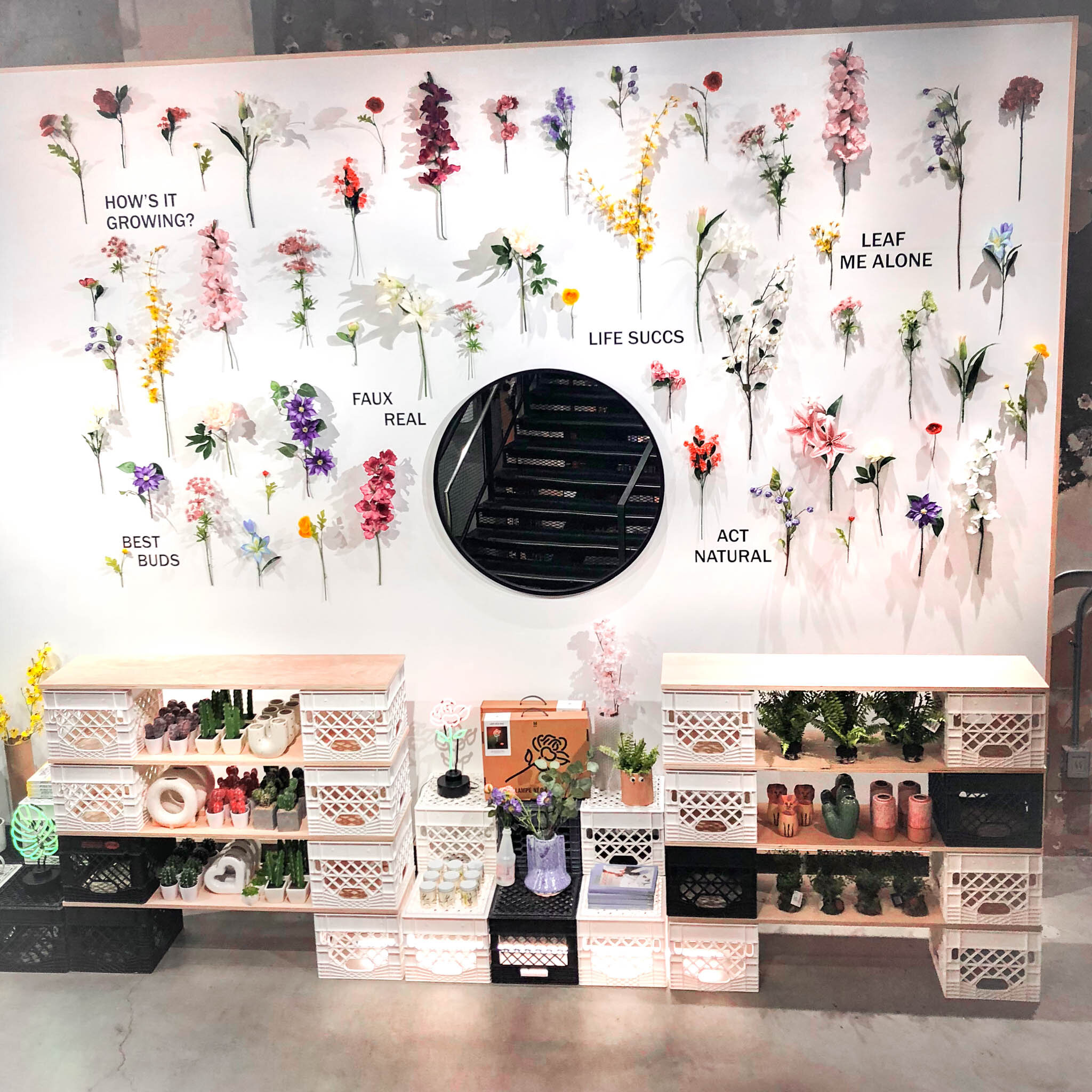 display14.jpg