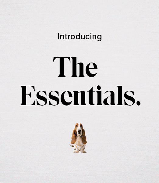 Hush_Puppies_10_Brand_Identity.gif