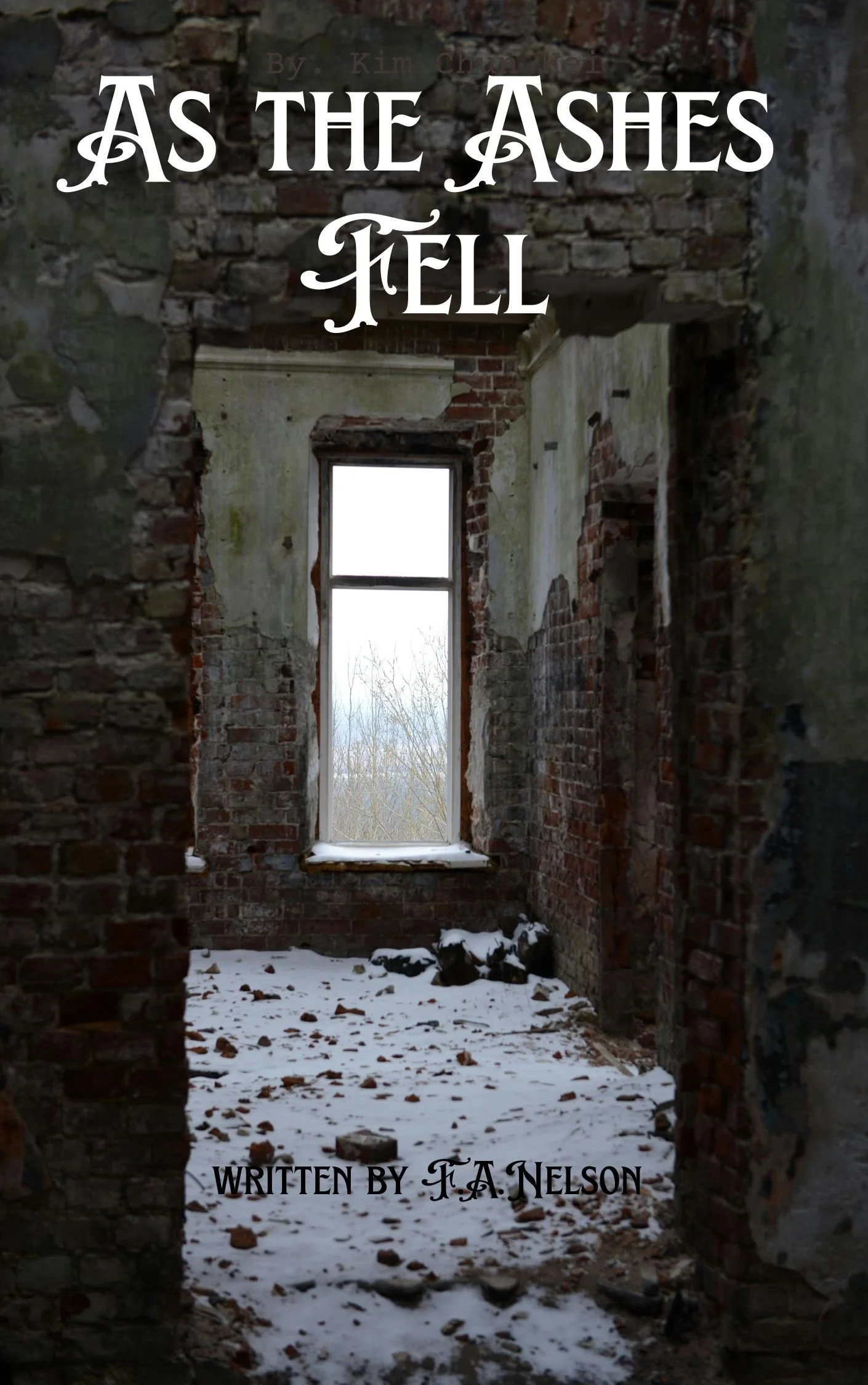 As the Ashes Fell (post-apocalypse)