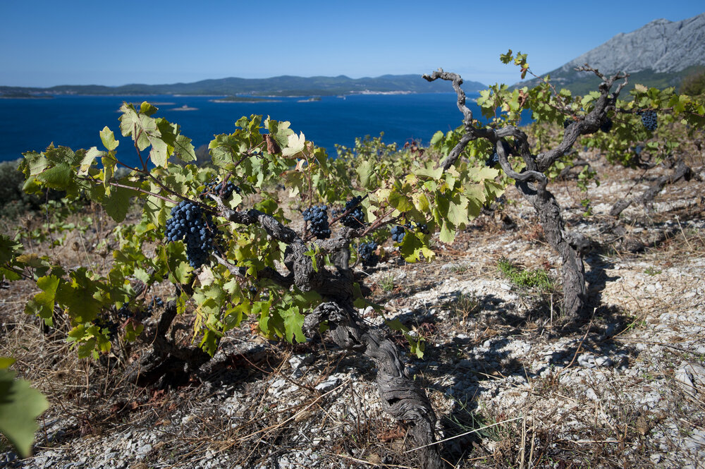 20130921_Peljesac0034.jpg