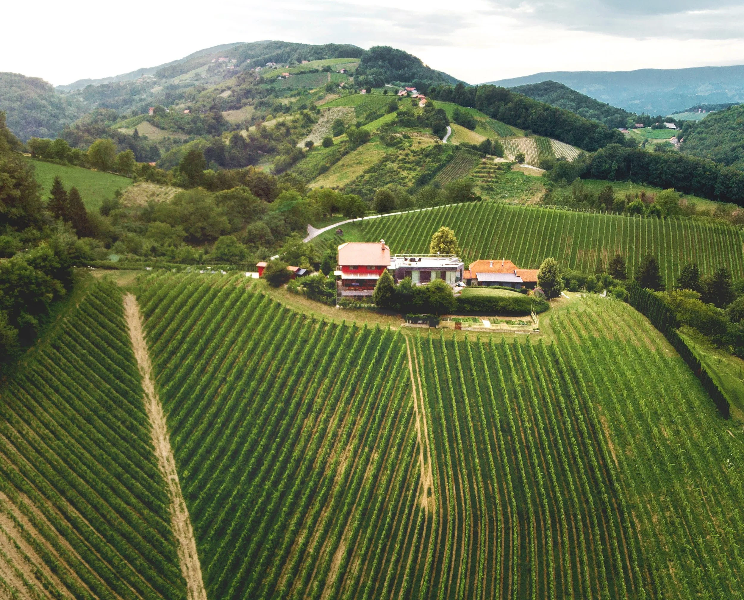 SANCTUM_WINERY.jpg